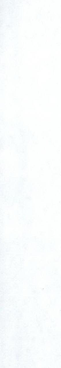 img-8.jpeg