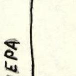 img-6.jpeg