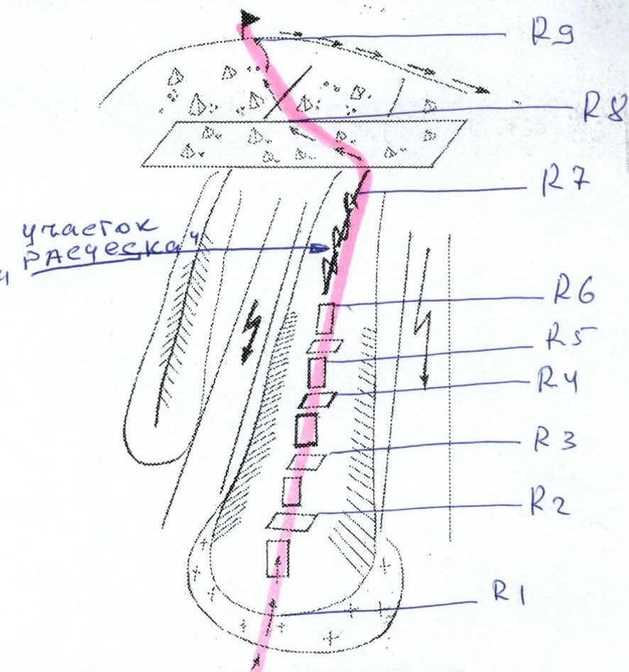 img-9.jpeg
