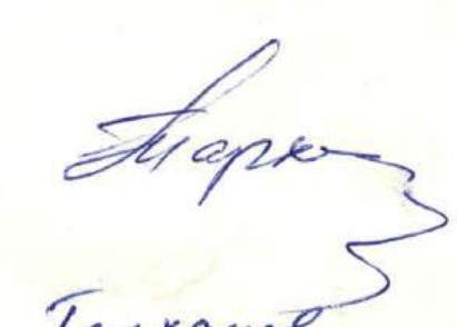 img-14.jpeg