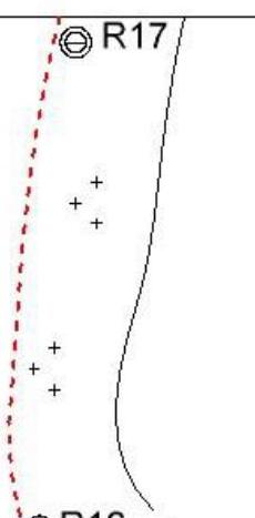 img-13.jpeg