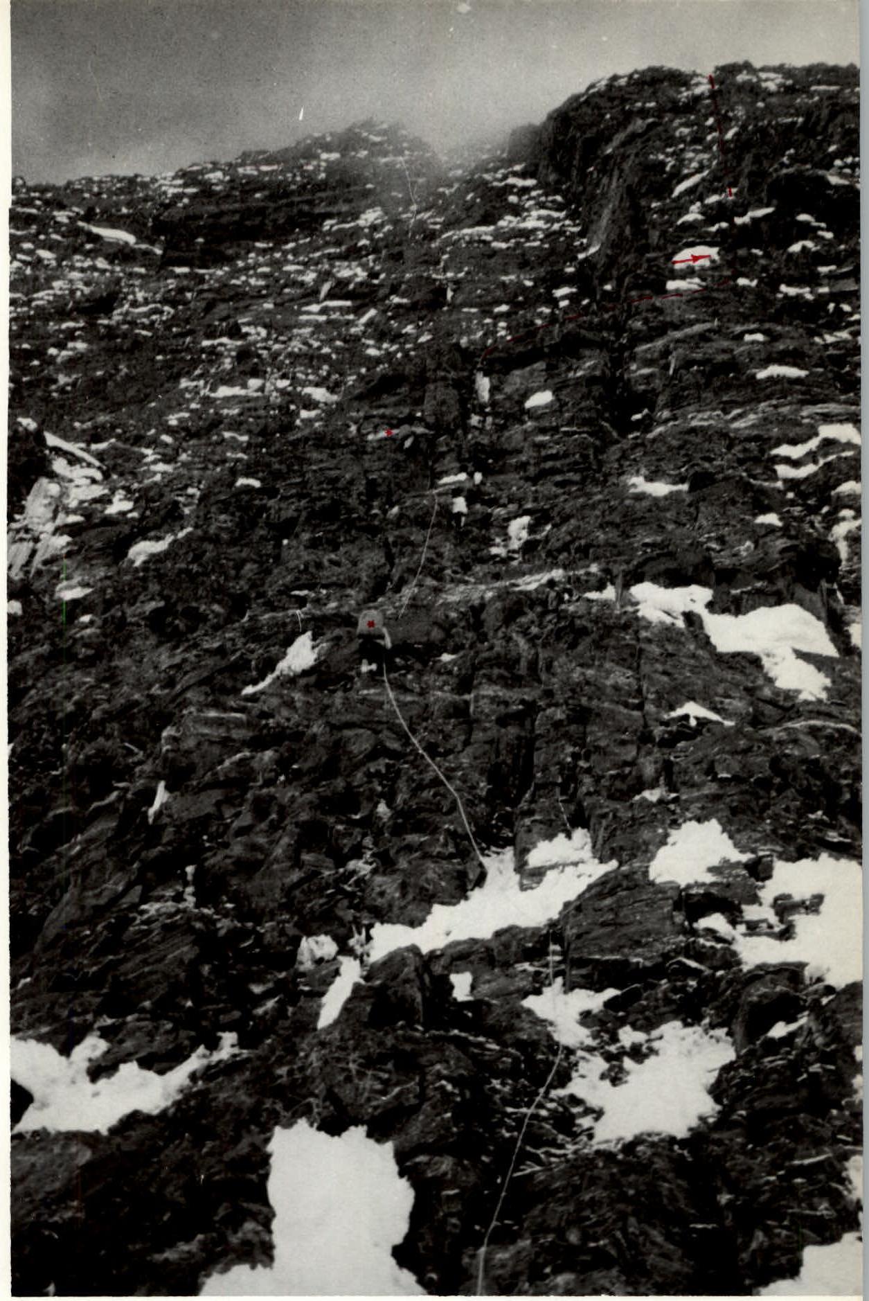 img-11.jpeg