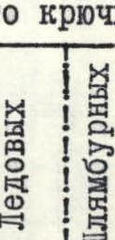 img-11.jpeg