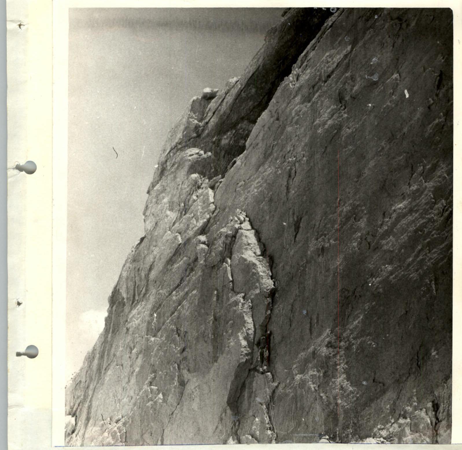 img-10.jpeg